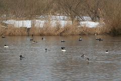 Killikus&reg; Fotographie